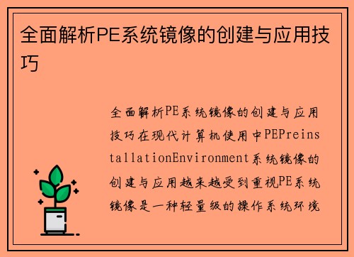 全面解析PE系统镜像的创建与应用技巧